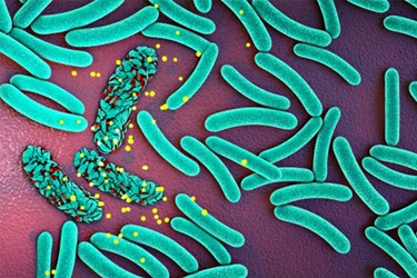 Illustration of antibacterial agent attacking harmful pathogens